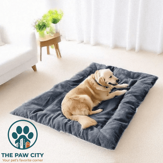 Cuccia Ortopedica "Nuvola" Deluxe – Divano in Peluche Anti-Ansia