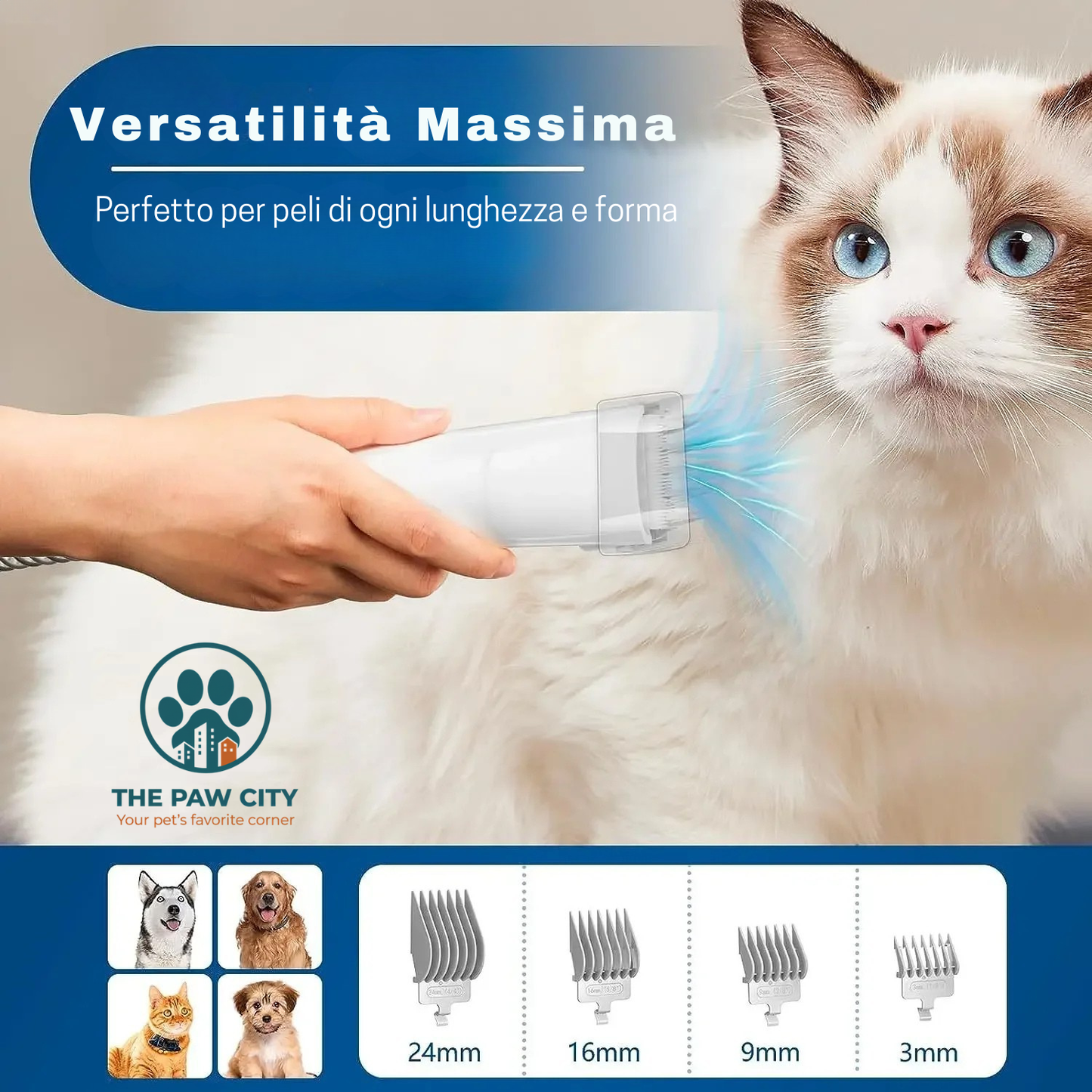Kit Professionale per la Toelettatura con Aspiratore
