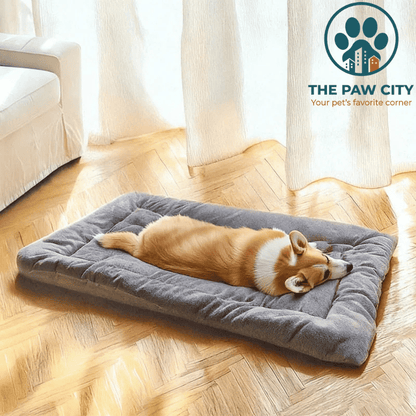 Cuccia Ortopedica "Nuvola" Deluxe – Divano in Peluche Anti-Ansia