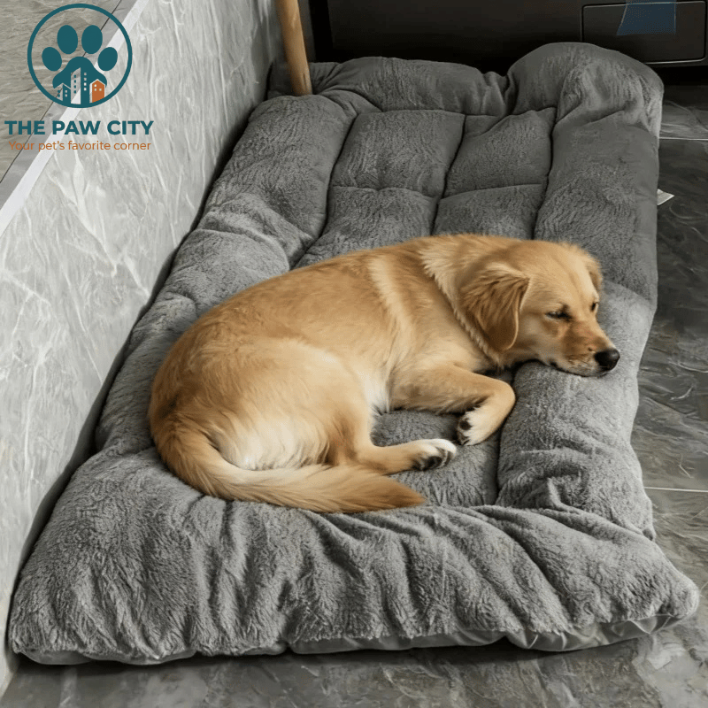 Cuccia Ortopedica "Nuvola" Deluxe – Divano in Peluche Anti-Ansia